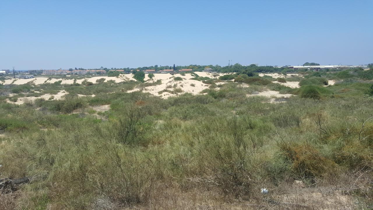 Neot Golf Caesarea Garden Apartment Exterior foto