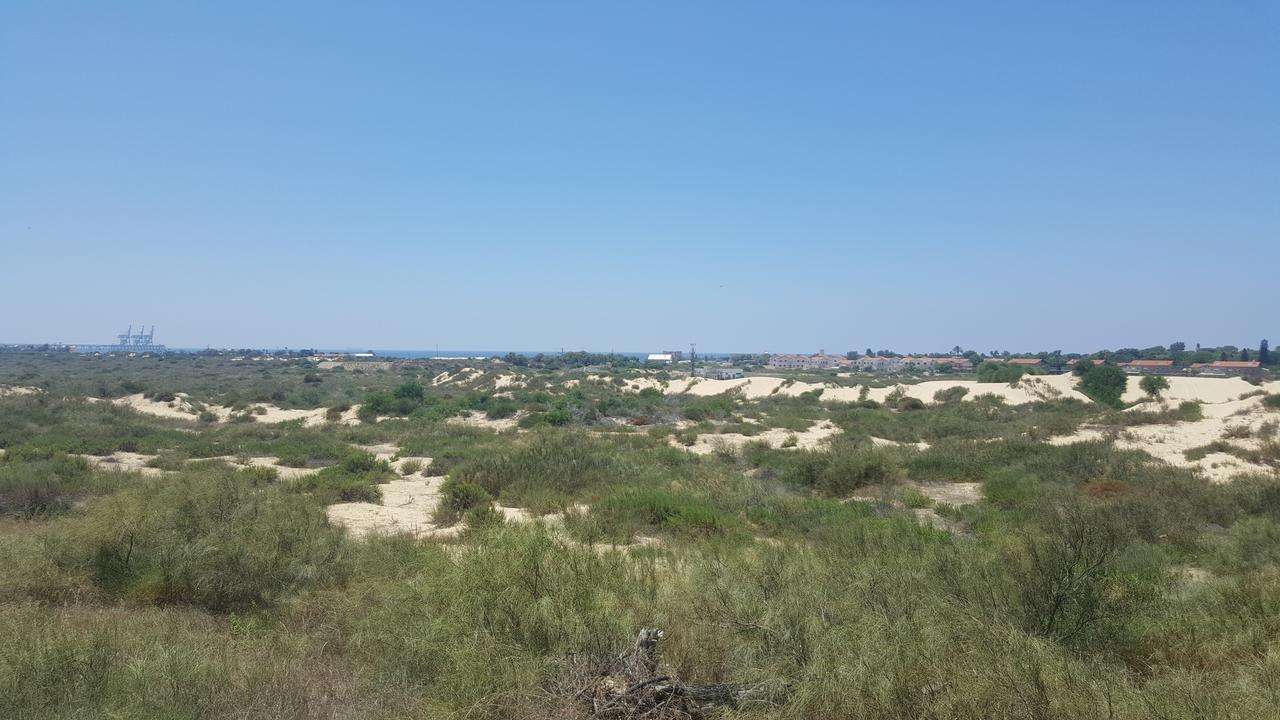 Neot Golf Caesarea Garden Apartment Exterior foto